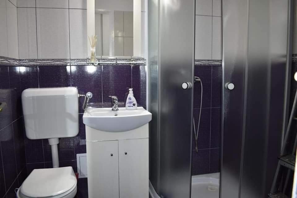 Bega Circumvalatiunii 1 Room Apartment Тимишоара Экстерьер фото
