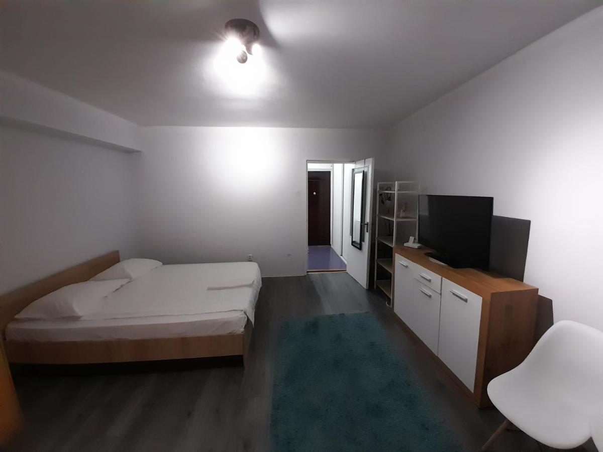 Bega Circumvalatiunii 1 Room Apartment Тимишоара Экстерьер фото