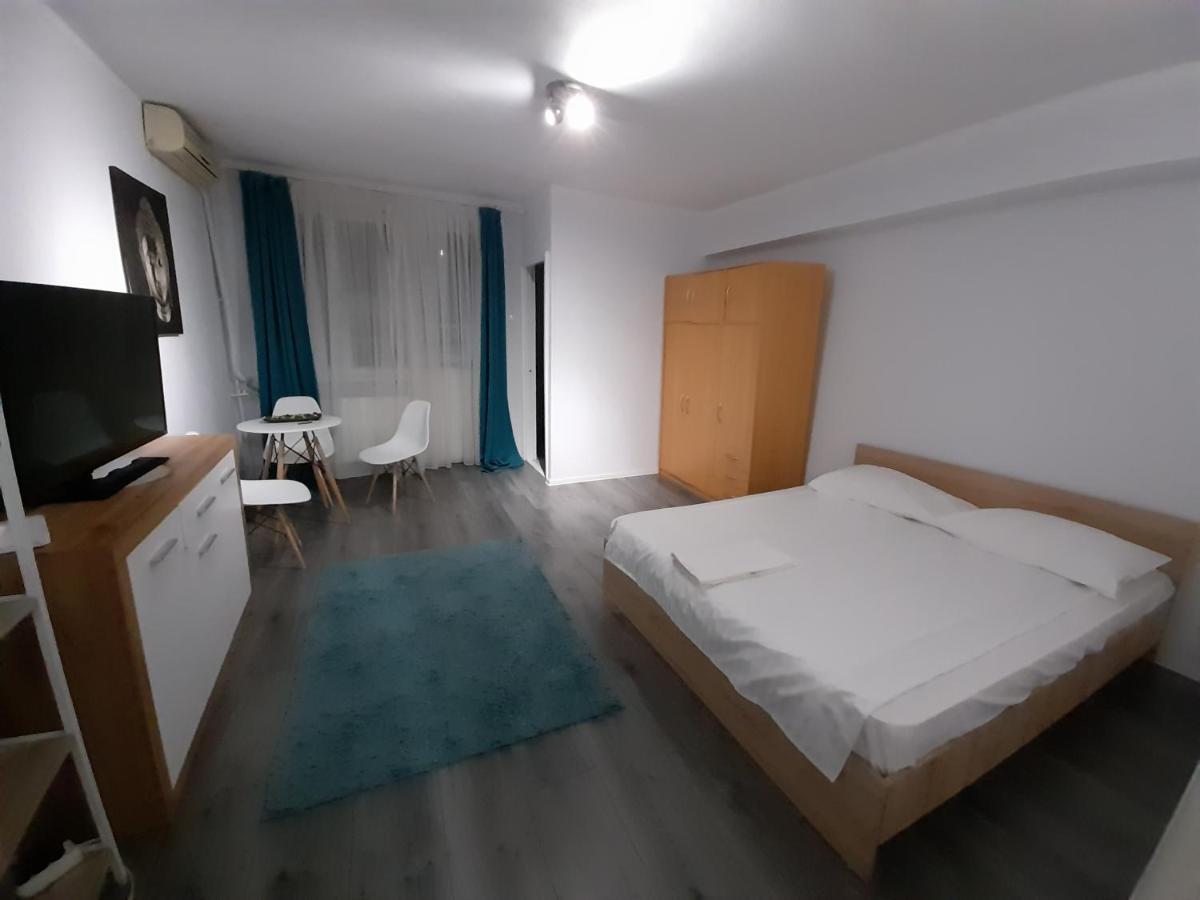 Bega Circumvalatiunii 1 Room Apartment Тимишоара Экстерьер фото